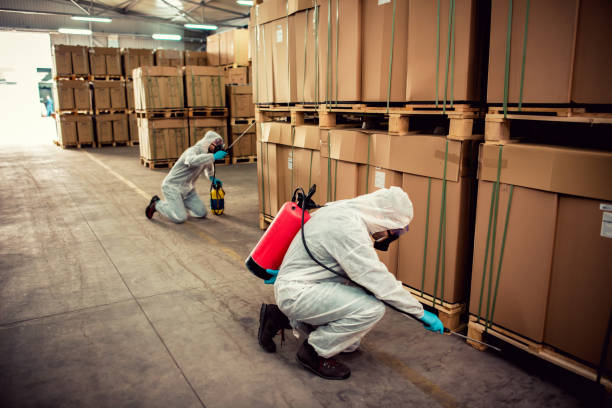 Trusted Grand Point, LA Pest Control Experts