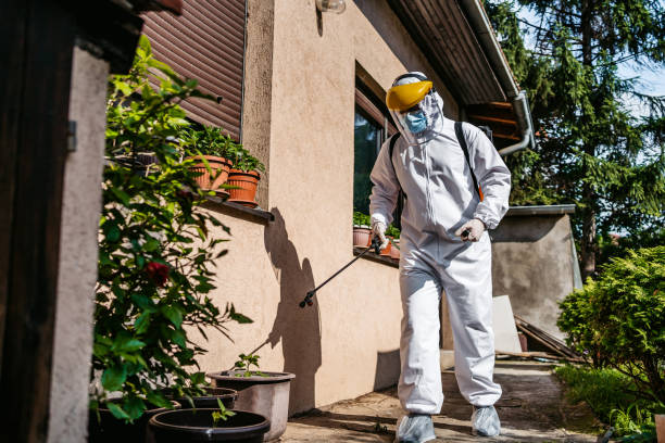 Best Cockroach Control Services  in Grand Point, LA