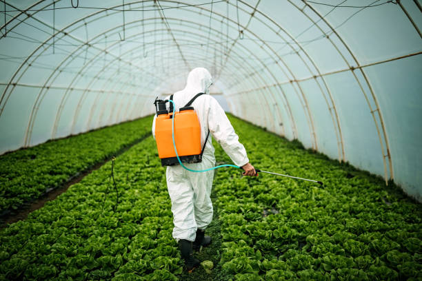 Best Pest Removal Services  in Grand Point, LA