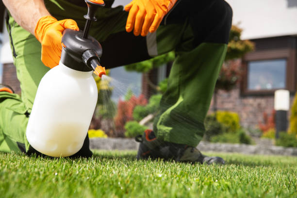 Best Cockroach Control Services  in Grand Point, LA
