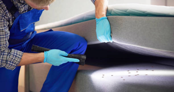 Best Local Pest Control Services  in Grand Point, LA