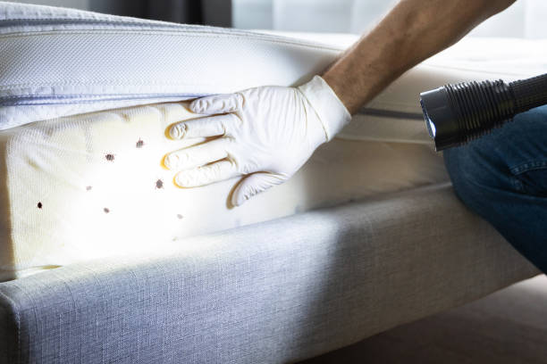  Grand Point, LA Pest Control Pros