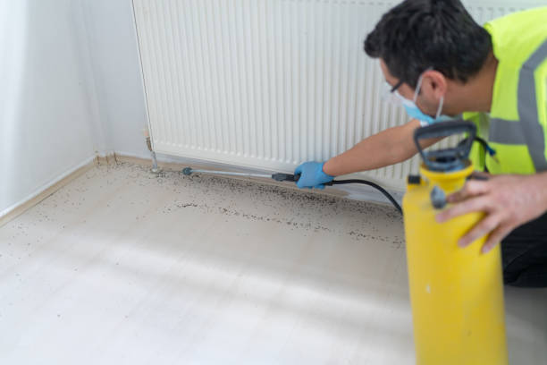 Best Pest Inspection Near Me  in Grand Point, LA