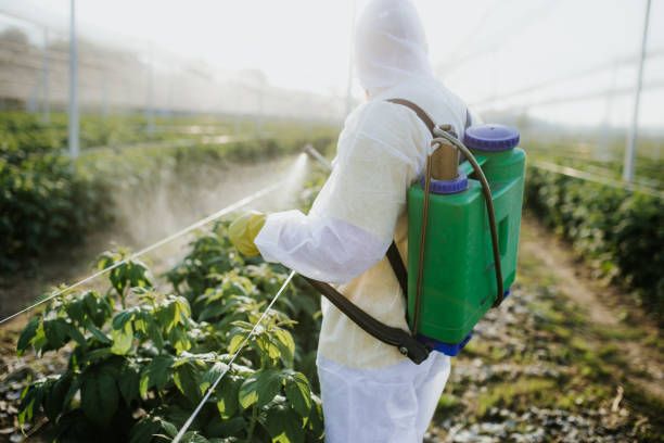 Pest Control for Restaurants in Grand Point, LA